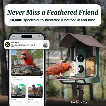 Beako™ Smart Bird Feeder With Camera-AI Included