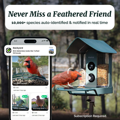 Beako™ Smart Bird Feeder