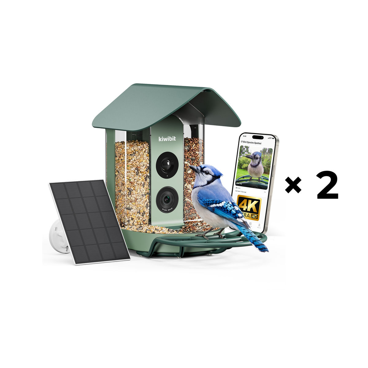 2 × Kiwibit Bird Feeder