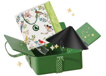 Kiwibit Bird Feeder 2 Pro Gift Pack (Gift Packaging Set + Squirrel Baffle + 1-yr Extended Warranty)