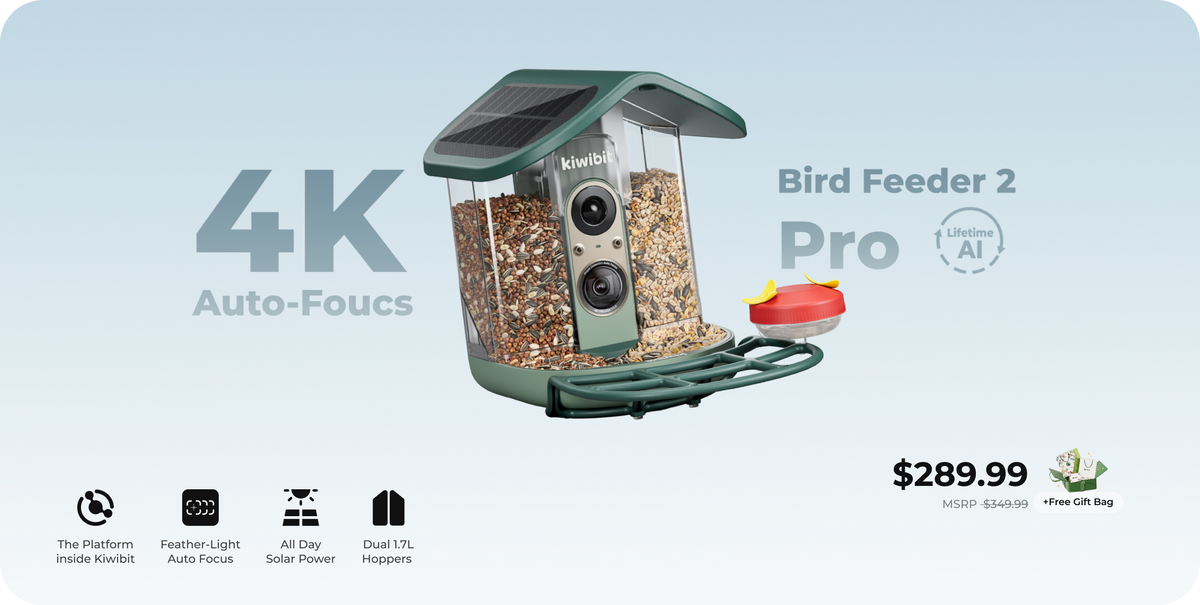 Kiwibit Bird Feeder 2 Pro 4K AI Camera with Solar Panel (Lifetime AI Included)