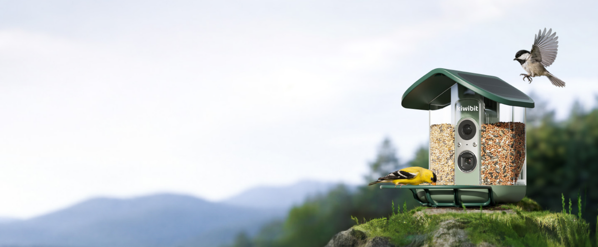 The World's First 4K Auto-Focus Bird Feeder