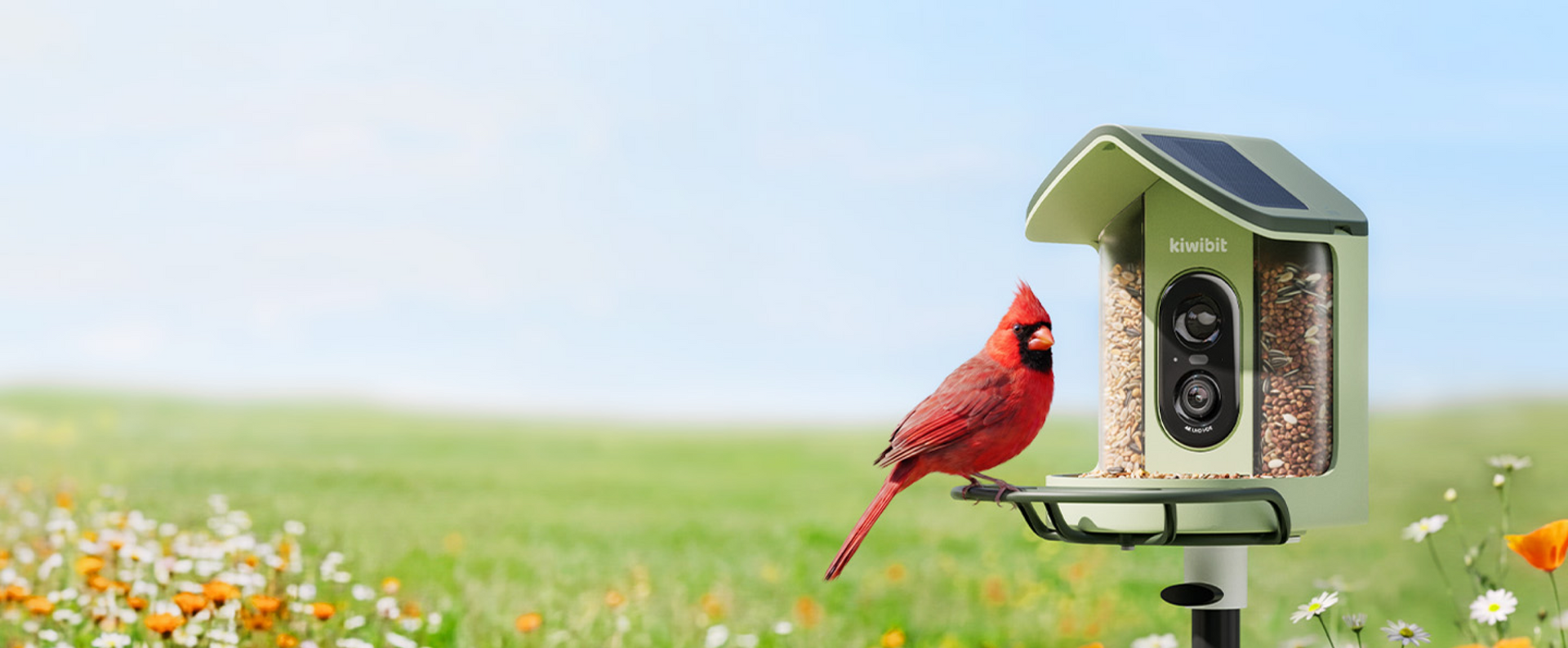 Premium Birdwatching, Made Easy