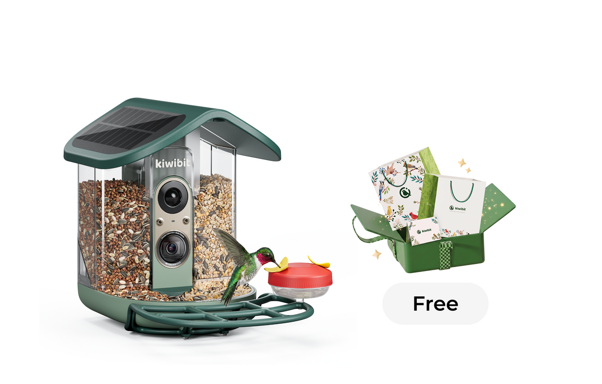 Kiwibit Bird Feeder 2 Pro