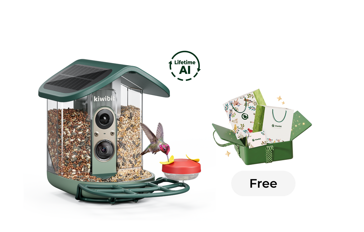 Kiwibit Bird Feeder 2 Pro (Lifetime AI Included)