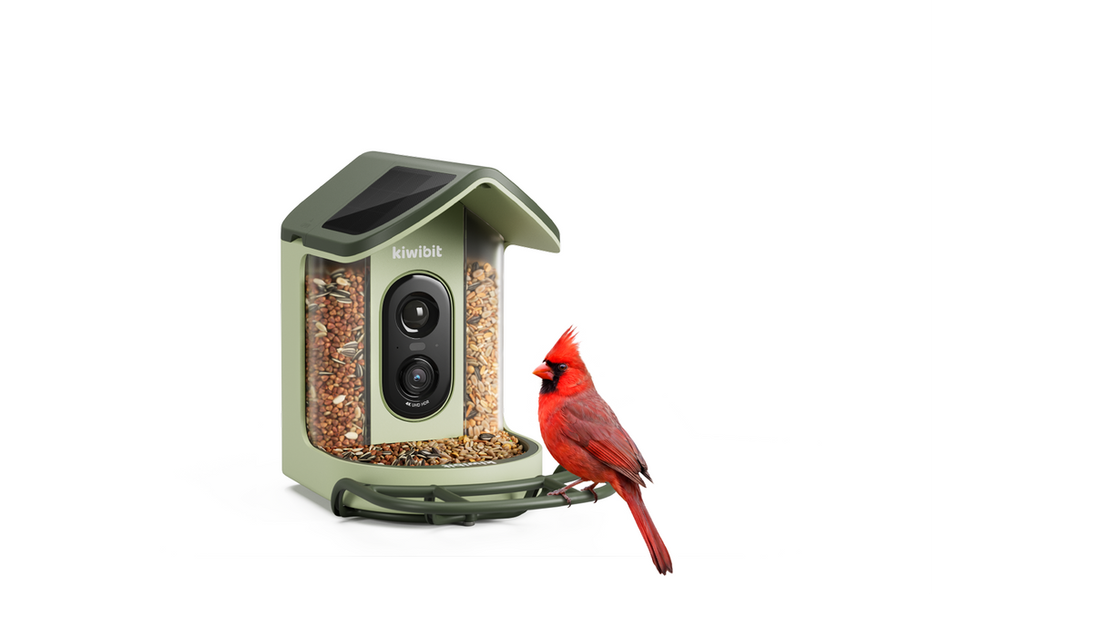 Kiwibit Bird Feeder 2 Mini