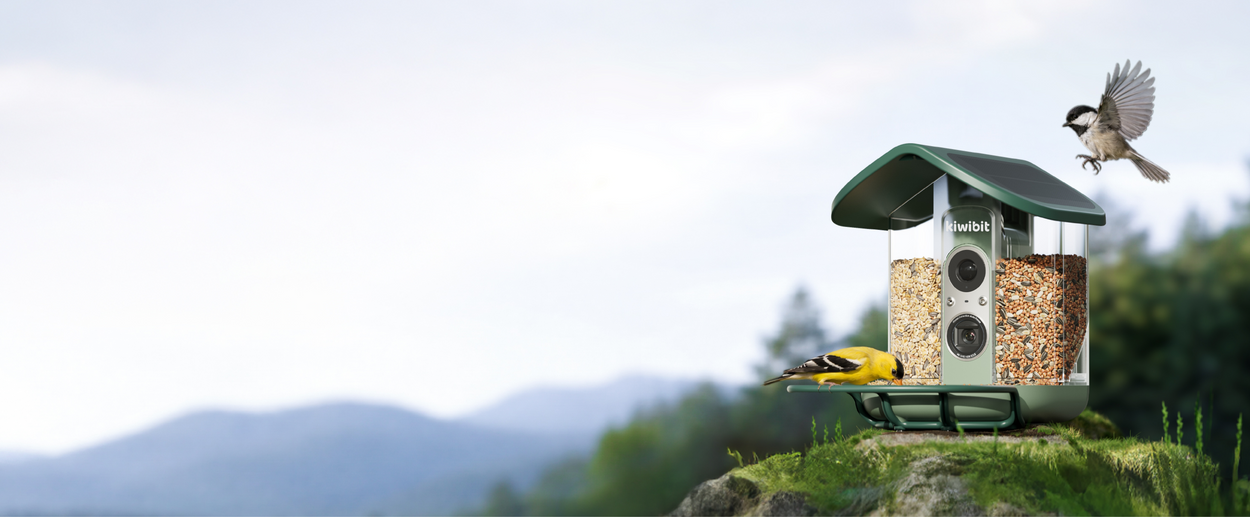 kiwibit-bird-feeder-2-pro-banner