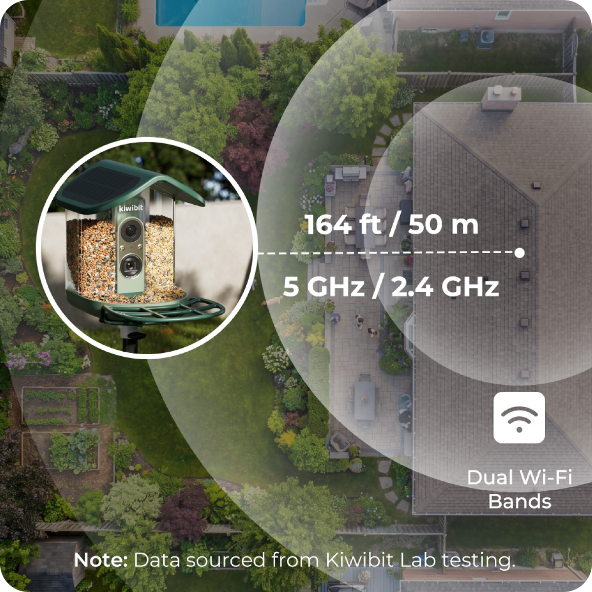 kiwibit-451-lifetime-ai