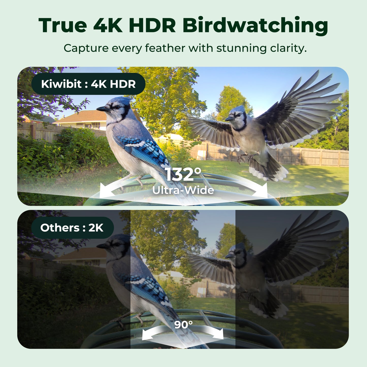 Kiwibit Bird Feeder 4K AI Camera Solar Panel Kit + Free 2K Wired Security Camera
