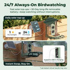 Kiwibit Bird Feeder 4K AI Camera Solar Panel Kit