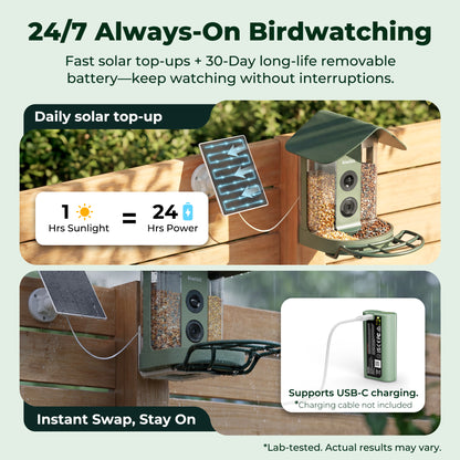Kiwibit Bird Feeder 4K AI Camera Solar Panel Kit + Free 2K Wired Security Camera