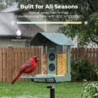 Kiwibit Bird Feeder 4K AI Camera Solar Panel Kit