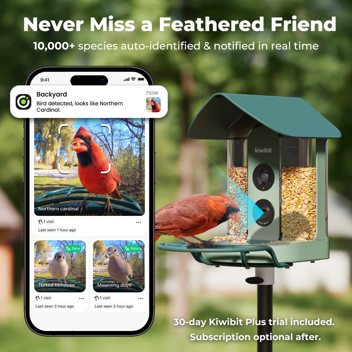 Kiwibit Bird Feeder 4K AI Camera Solar Panel Kit + Free 2K Wired Security Camera