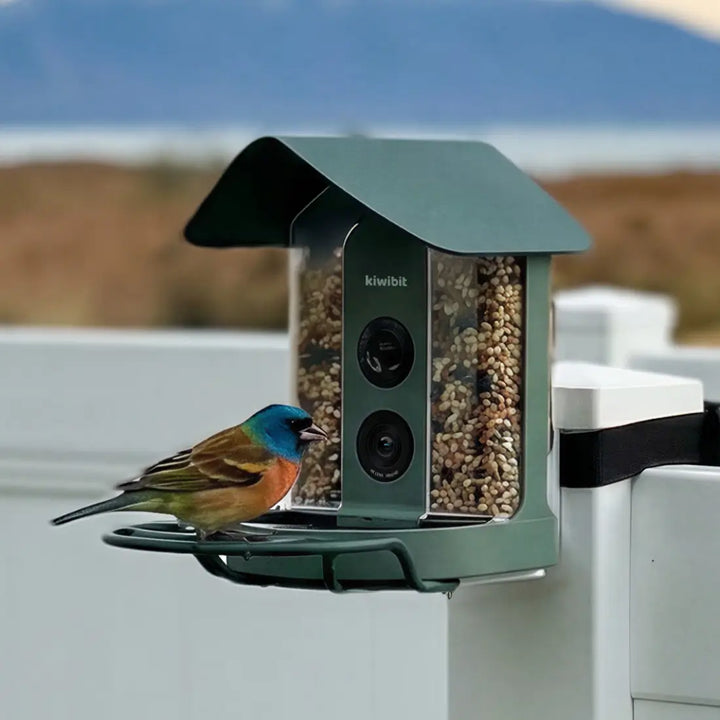 Eastern Bluebird perched beside a smart bird feeder with a camera.