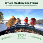 Kiwibit Bird Feeder 2 4K AI Camera with Solar Panel