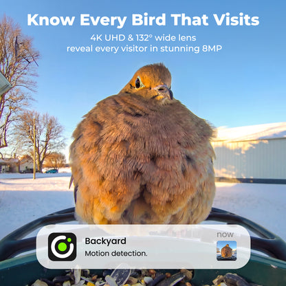 Kiwibit Bird Feeder 2 4K AI Camera with Solar Panel + Free 2K Wired Security Camera
