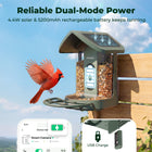 Kiwibit Bird Feeder 2 4K AI Camera with Solar Panel