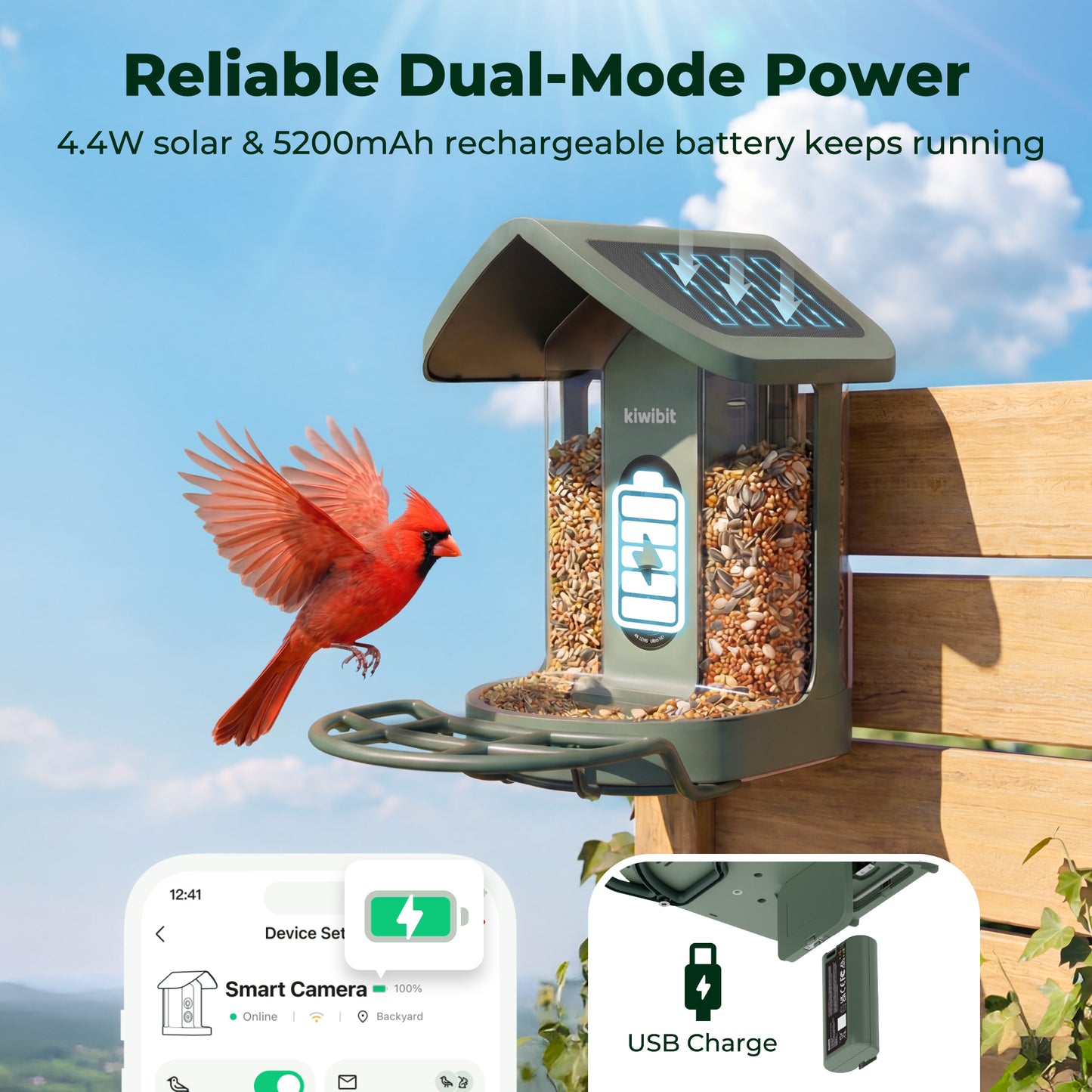 Kiwibit Bird Feeder 2 4K AI Camera with Solar Panel + Free 2K Wired Security Camera