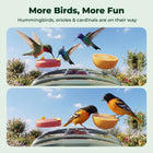 Kiwibit Bird Feeder 2 4K AI Camera with Solar Panel