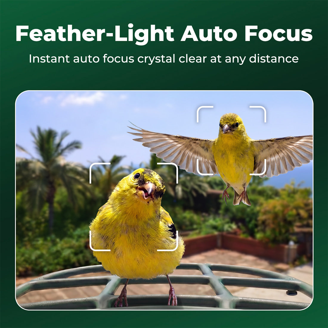 Kiwibit Bird Feeder 2 Pro 4K AI Camera with Solar Panel