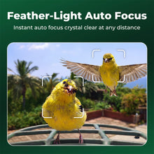 Kiwibit Bird Feeder 2 Pro 4K AI Camera with Solar Panel (Lifetime AI Included)