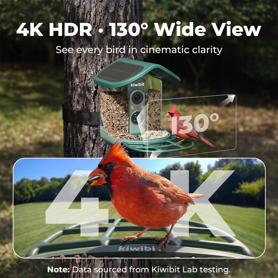 Kiwibit Bird Feeder 2 Pro 4K AI Camera with Solar Panel