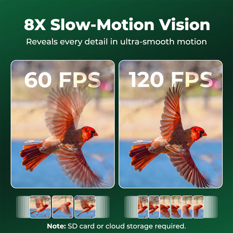 Kiwibit Bird Feeder 2 Pro 4K AI Camera with Solar Panel