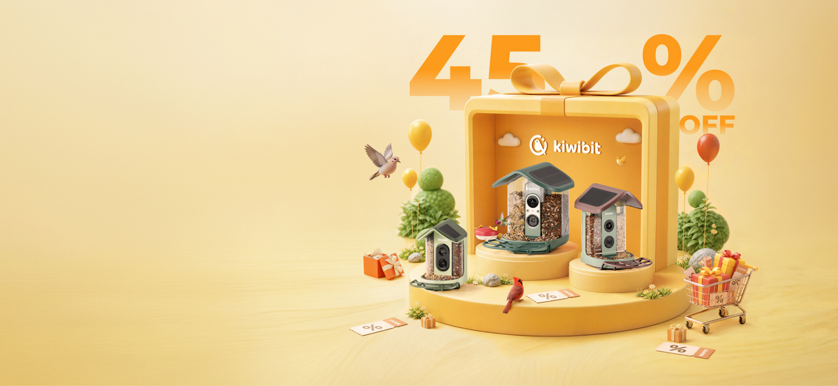 Up to 45% Off