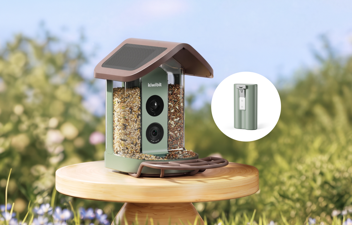 Kiwibit Bird Feeder 2 Power Kit (Lifetime AI Included)