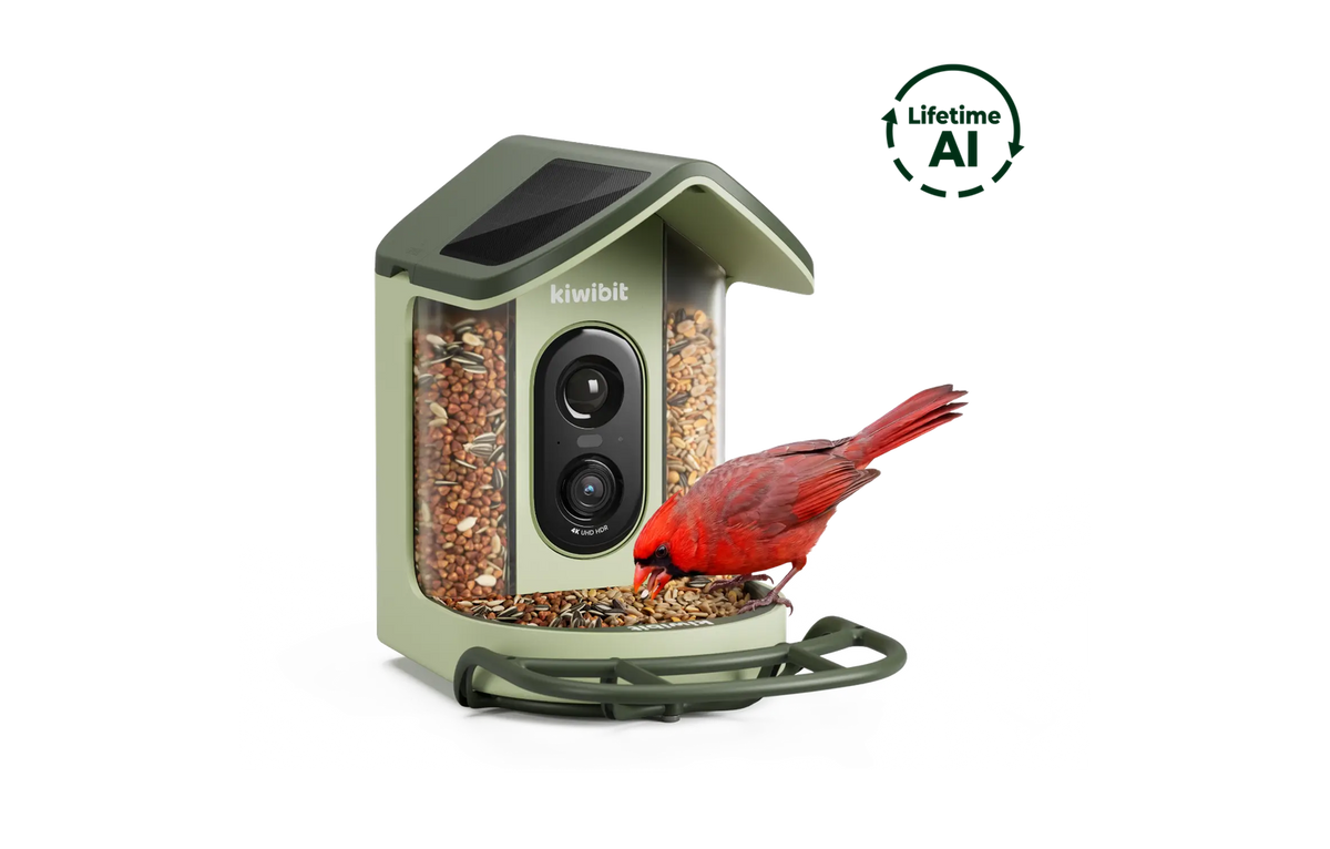 Kiwibit Bird Feeder 2 Mini (Lifetime AI Included)