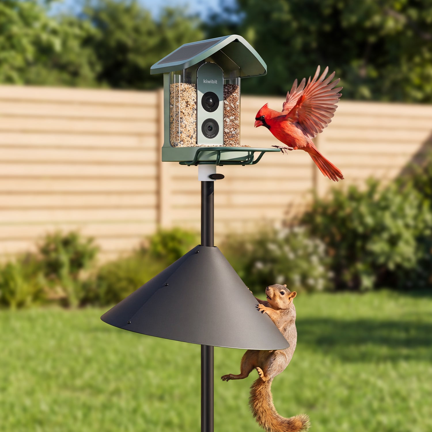 Kiwibit Bird Feeder 2 + Squirrel Baffle