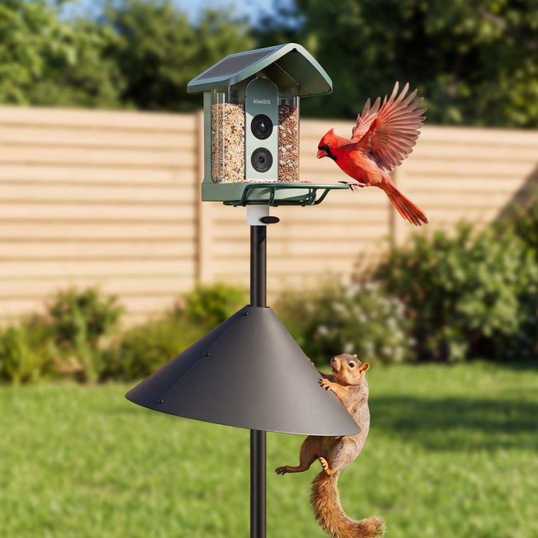 Kiwibit Bird Feeder 2 + Squirrel Baffle