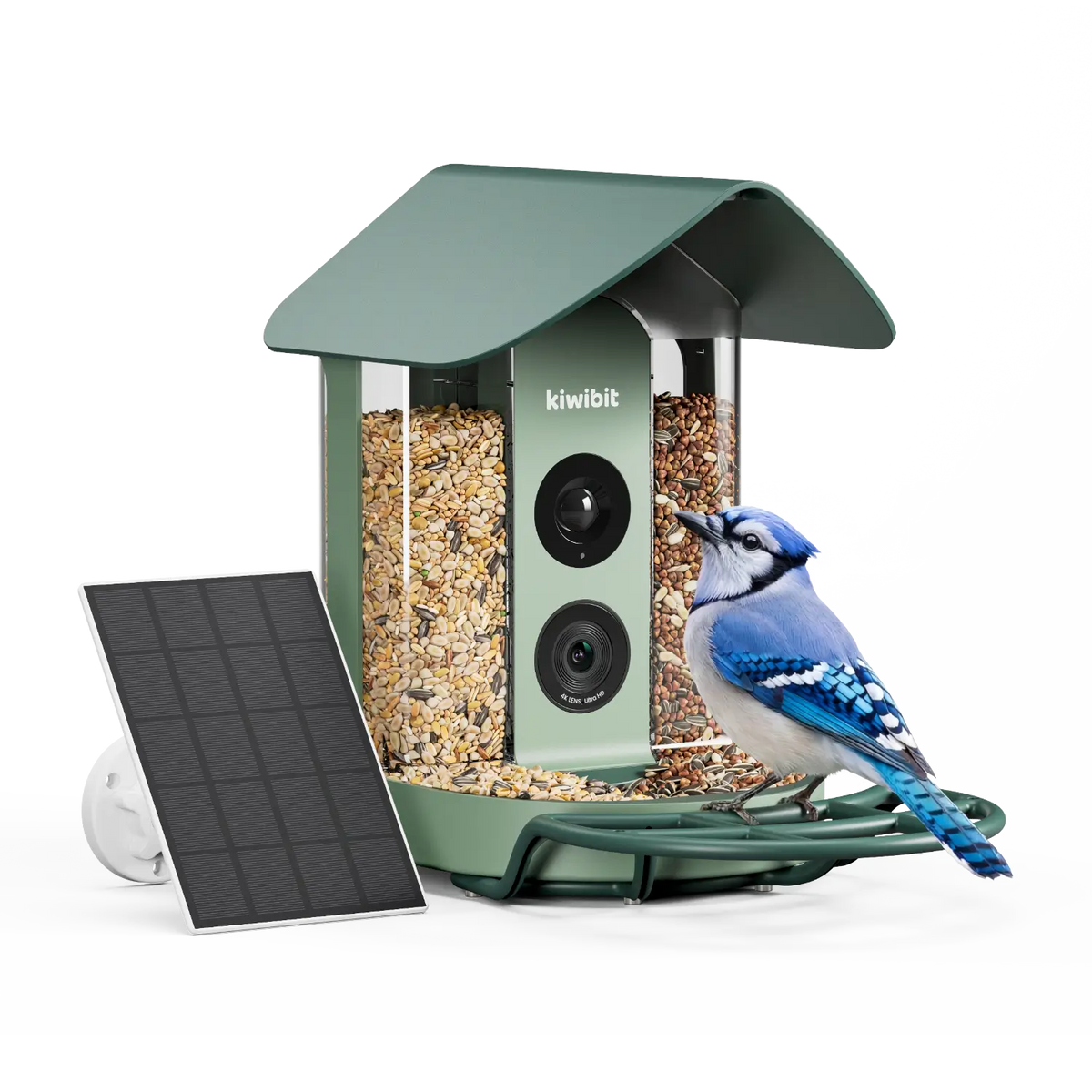 Kiwibit Bird Feeder