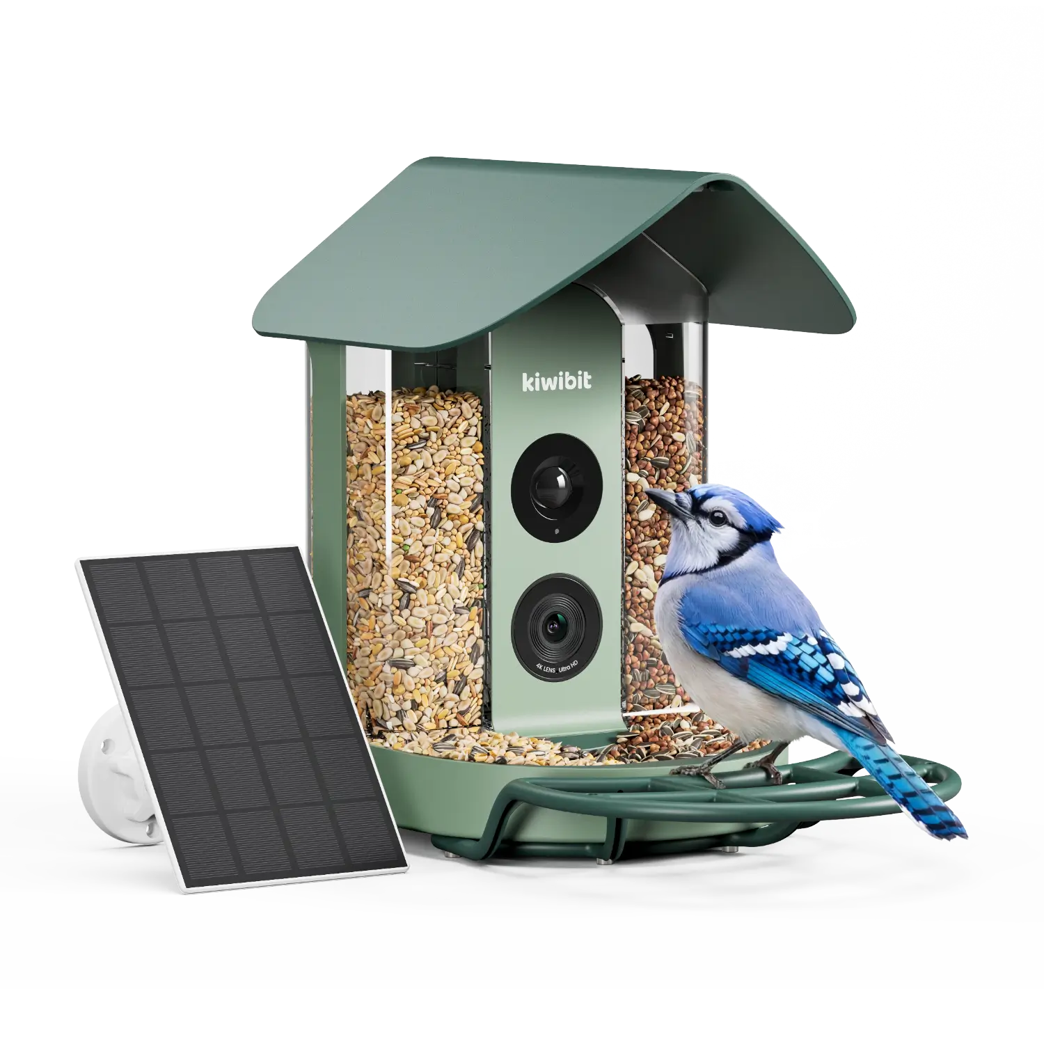 Kiwibit Bird Feeder 4K AI Camera Solar Panel Kit