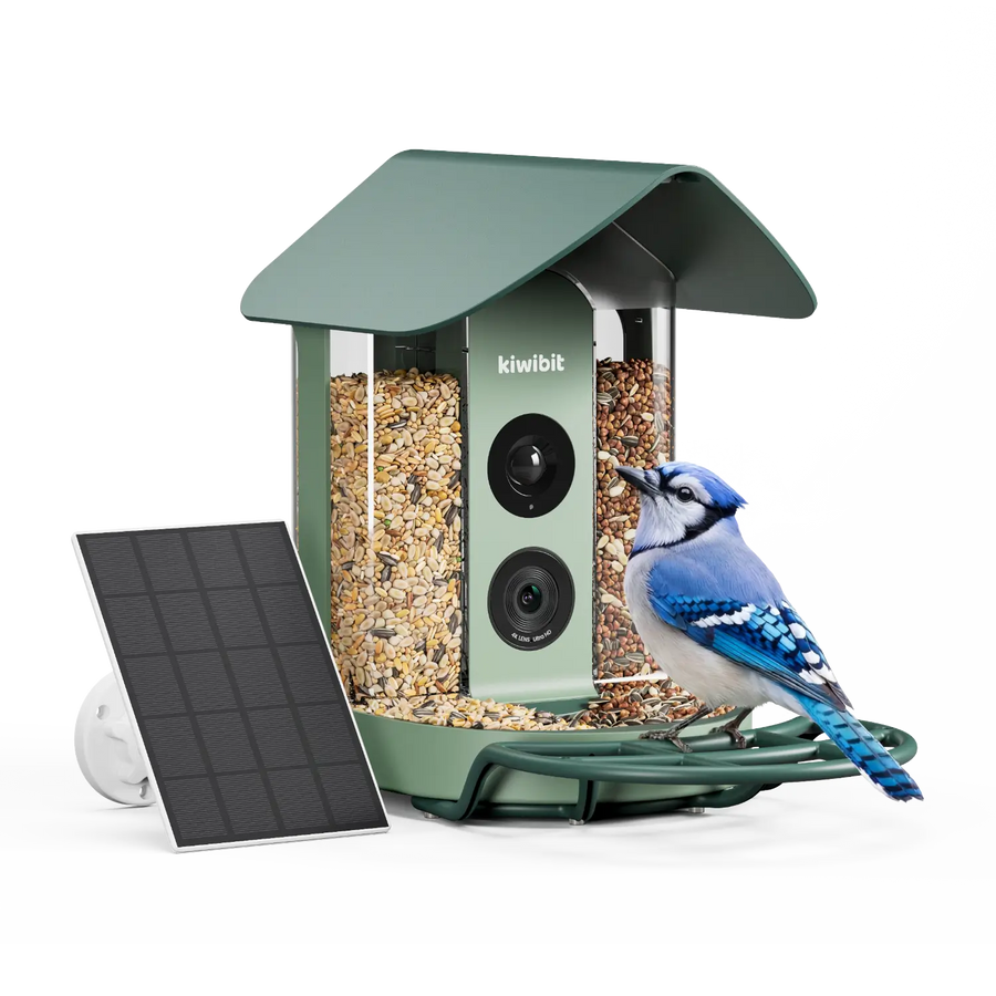 Kiwibit Bird Feeder