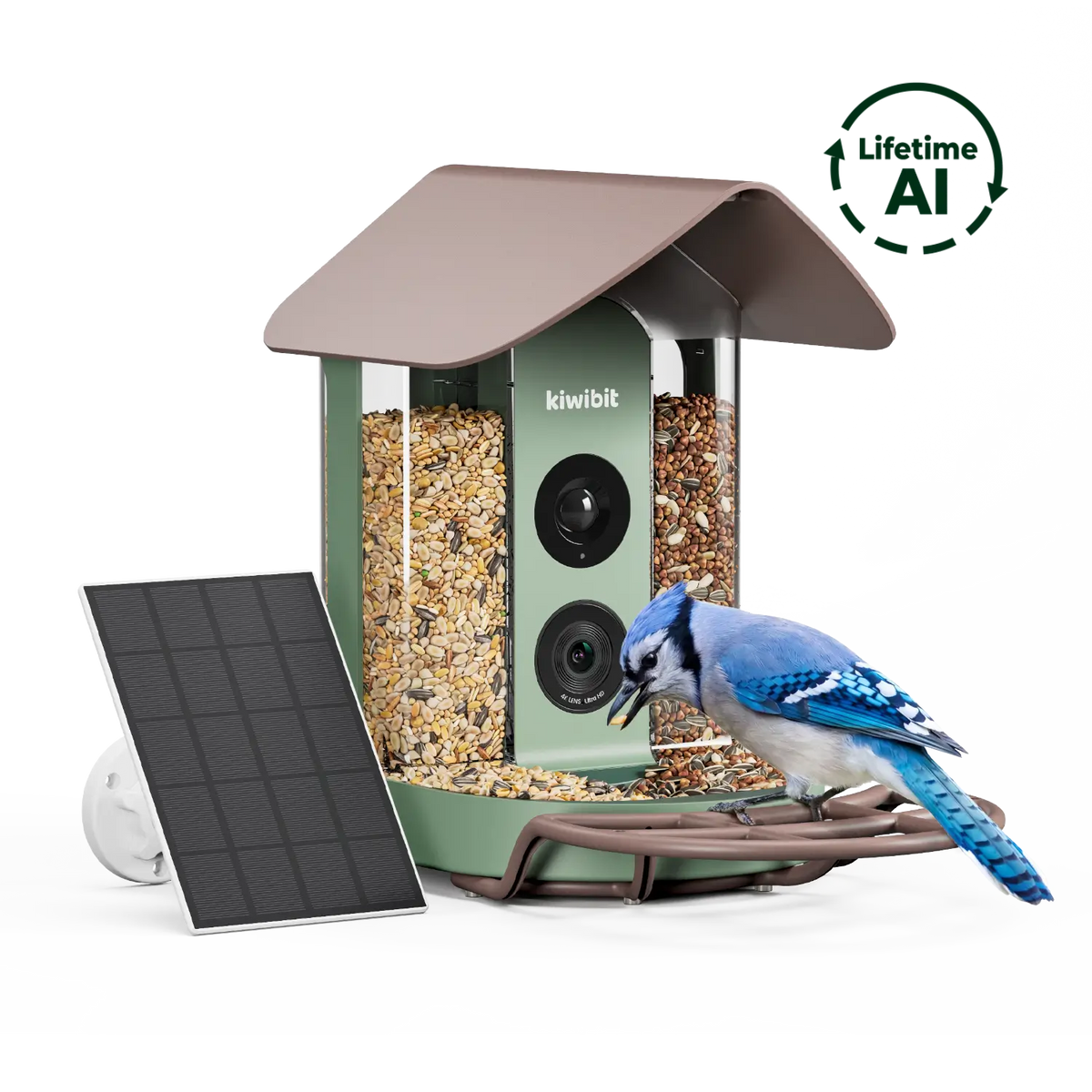 Kiwibit Bird Feeder (Lifetime AI Included)