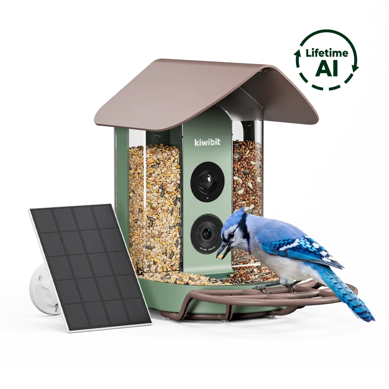 Kiwibit Bird Feeder 4K AI Camera Solar Panel Kit (Lifetime AI Included)