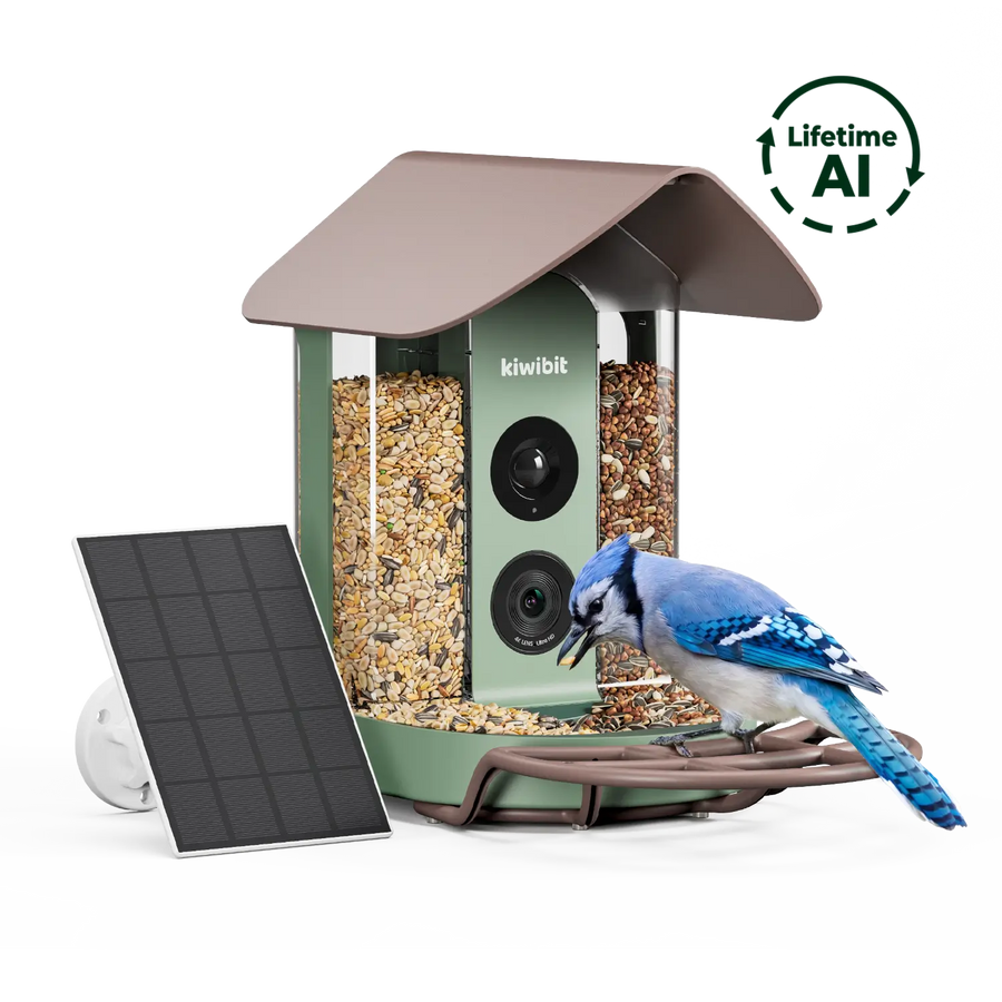 Kiwibit Bird Feeder (Lifetime AI Included)