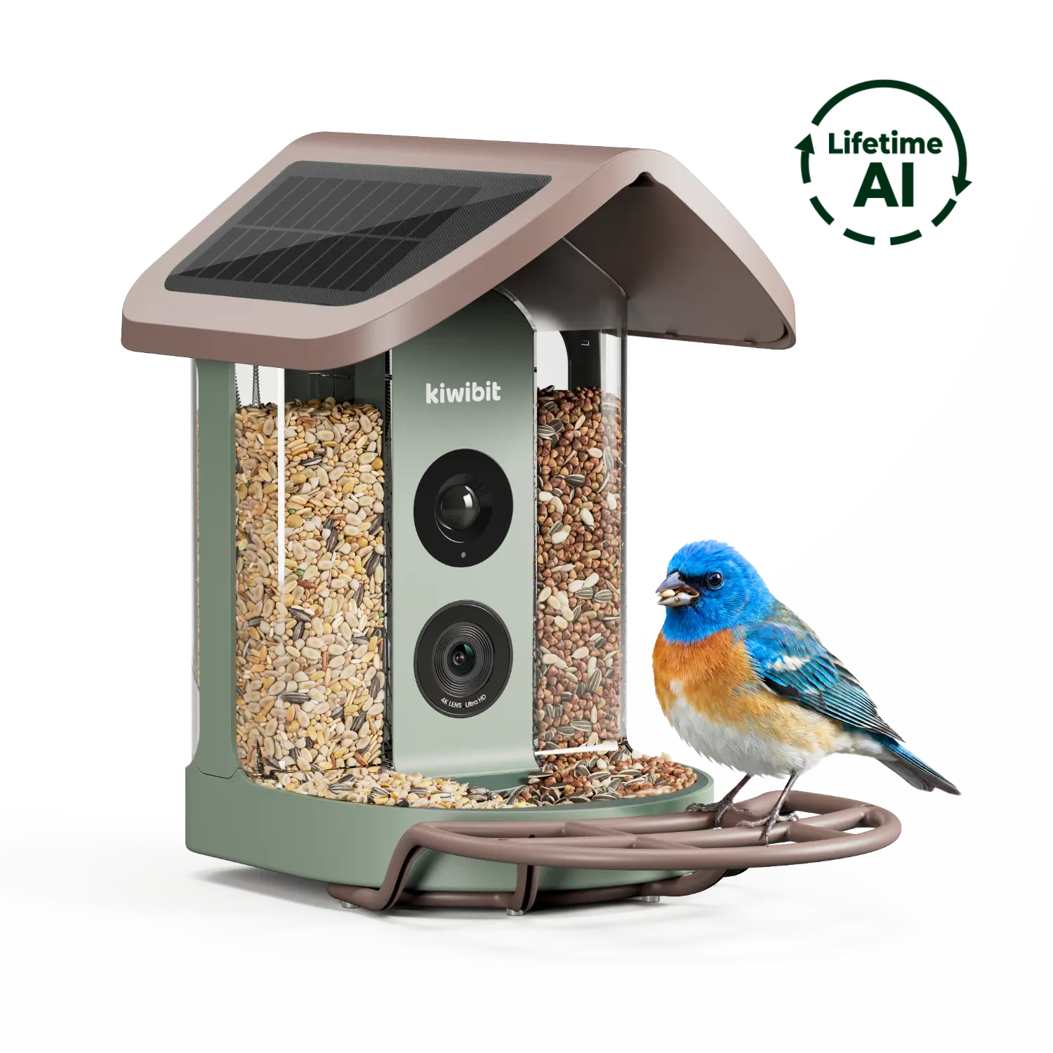 Kiwibit Bird Feeder 2 4K AI Camera with Solar Panel (Lifetime AI Included)