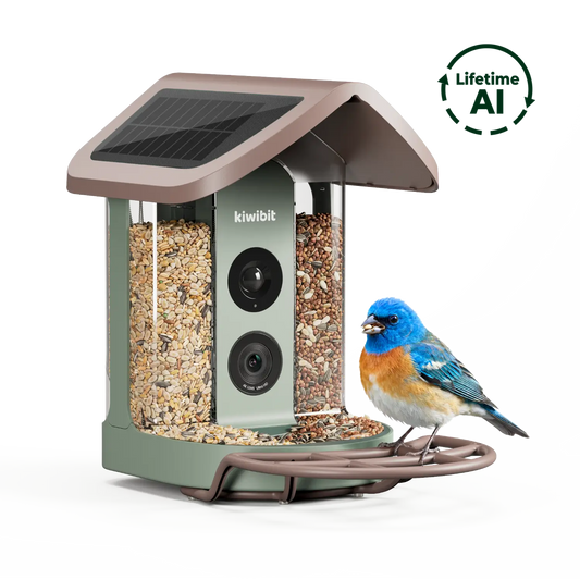 Kiwibit Bird Feeder 2 4K AI Camera with Solar Panel (Lifetime AI Included)