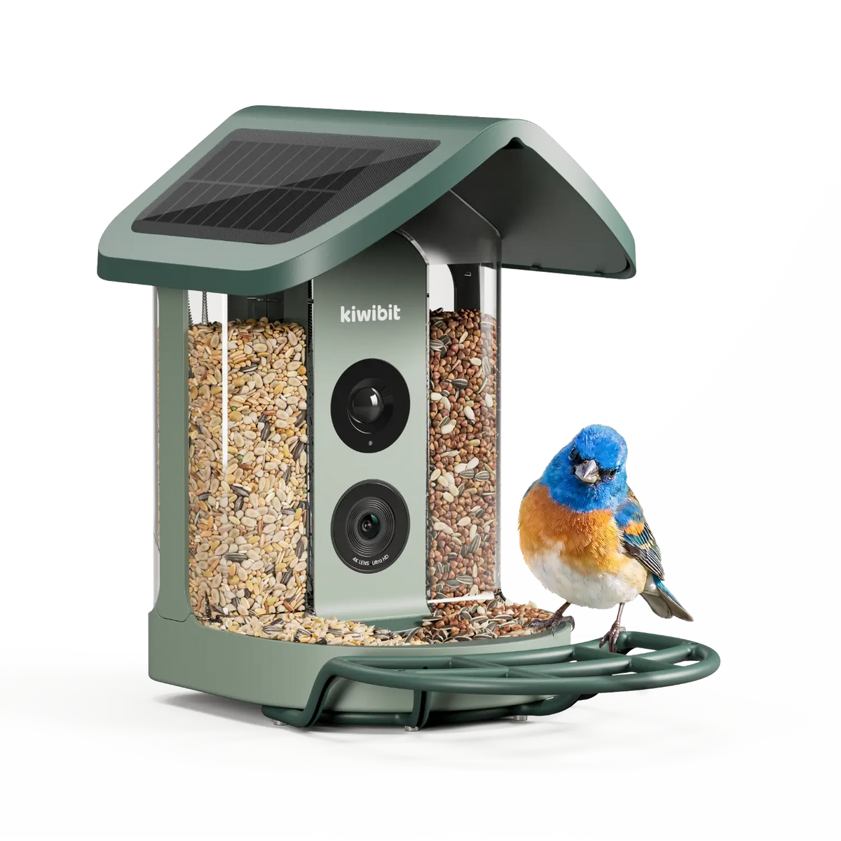 Kiwibit Bird Feeder 2