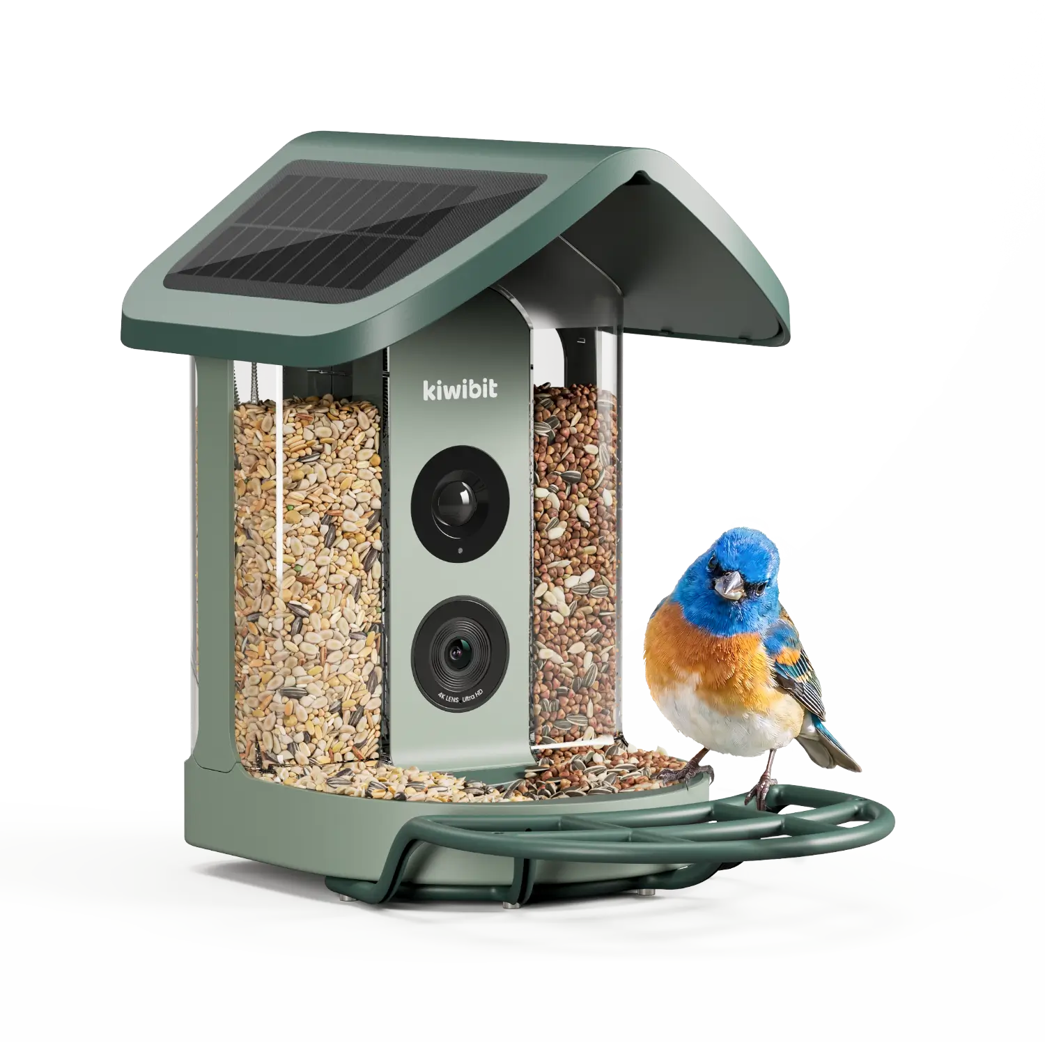Kiwibit Bird Feeder 2 4K AI Camera with Solar Panel