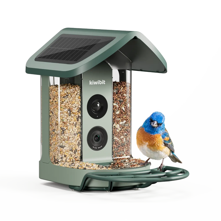 Kiwibit Bird Feeder 2