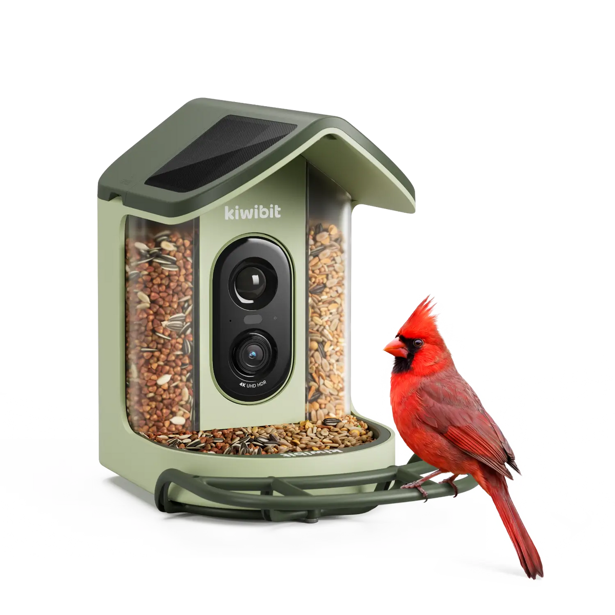 Kiwibit Bird Feeder 2 Mini