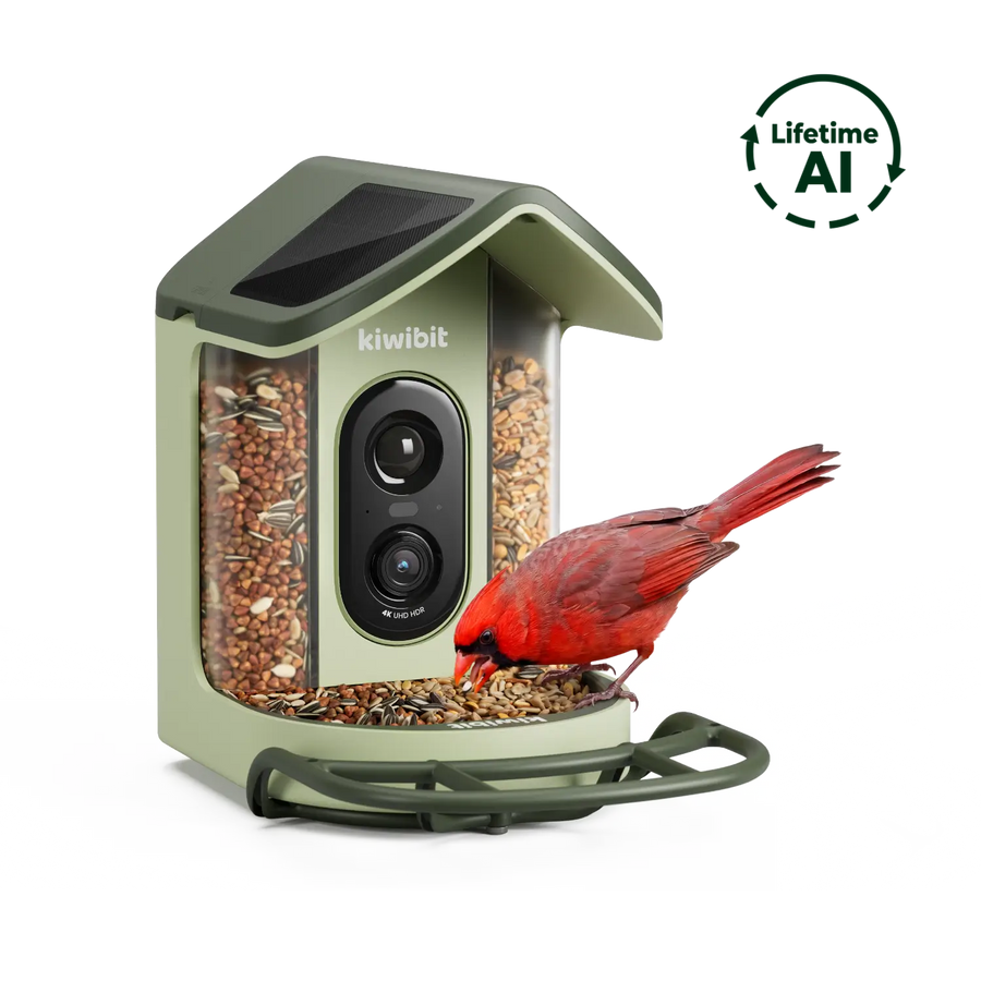 Kiwibit Bird Feeder 2 Mini (Lifetime AI Included)
