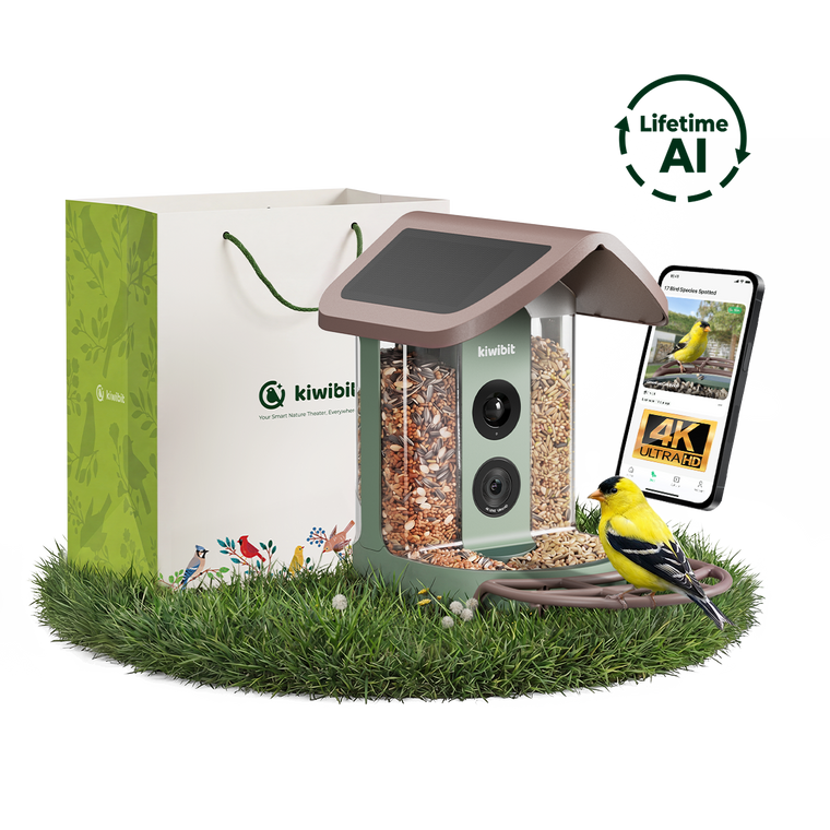 Kiwibit Smart Bird Feeder 2 (Lifetime AI Include) Bundle with Gift Packaging Kit