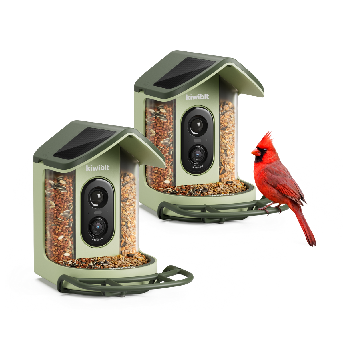 2 x Kiwibit Bird Feeder 2 Mini