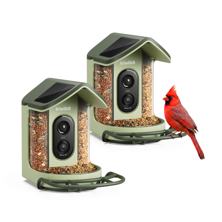 2 x Kiwibit Bird Feeder 2 Mini