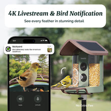 Kiwibit Bird Feeder 2 4K AI Camera with Solar Panel (No Subscription Fees)