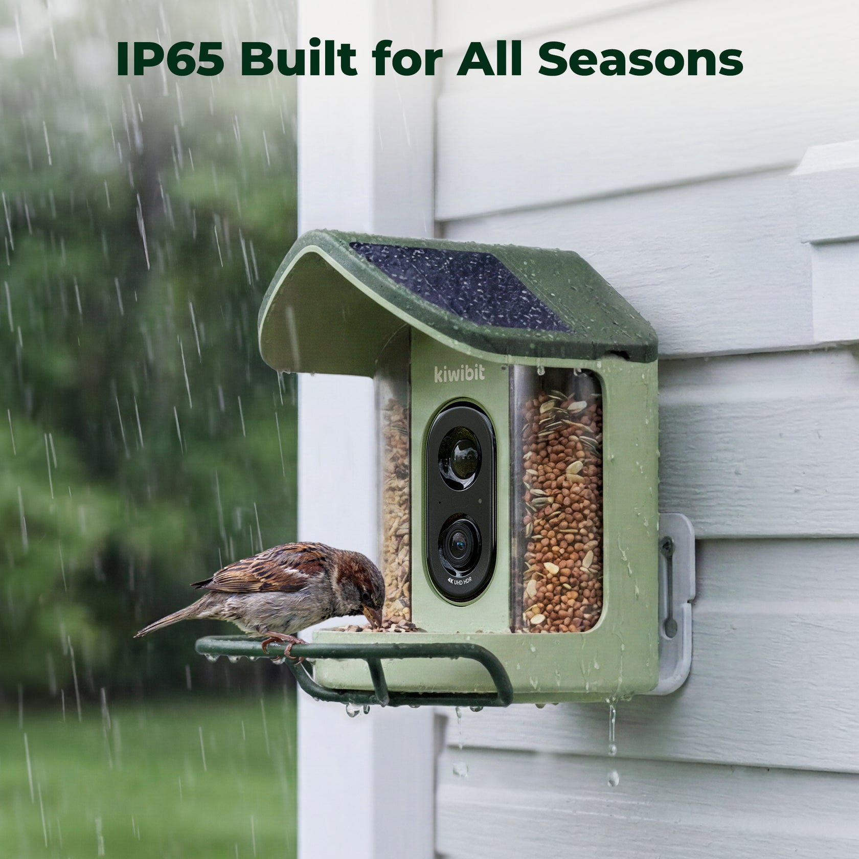 Kiwibit Bird Feeder 2 Mini 4K AI Camera with Solar Panel